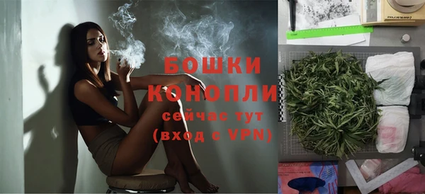 прущие грибы Снежинск
