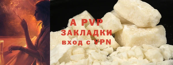 молекула духа Снежногорск