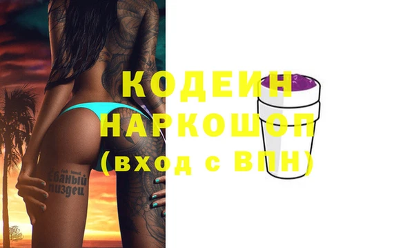 молекула духа Снежногорск
