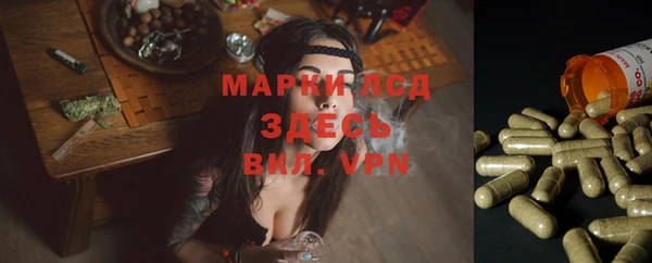 молекула духа Снежногорск