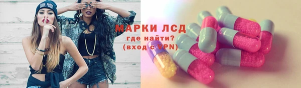 молекула духа Снежногорск