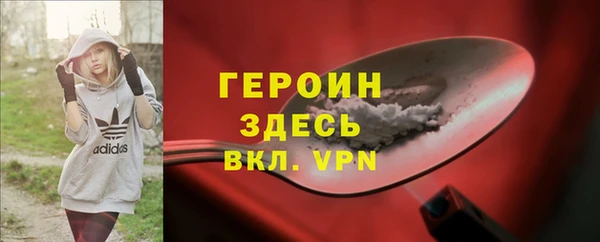 молекула духа Снежногорск