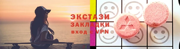 молекула духа Снежногорск