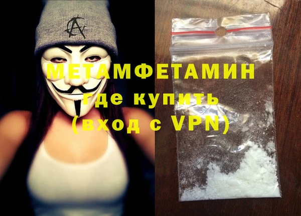 прущие грибы Снежинск
