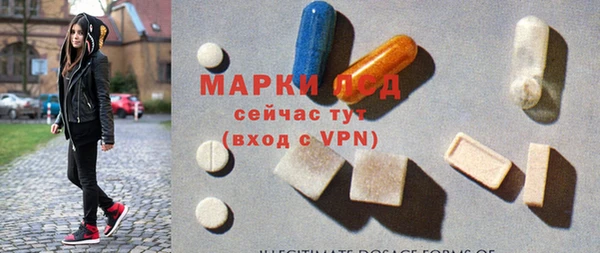 молекула духа Снежногорск