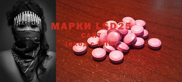 прущие грибы Снежинск