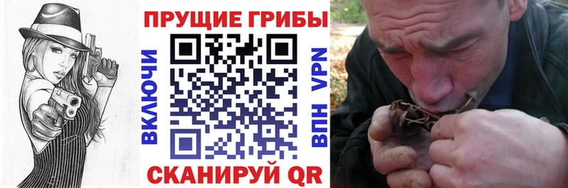 Галлюциногенные грибы Cubensis  закладки  Великий Новгород 