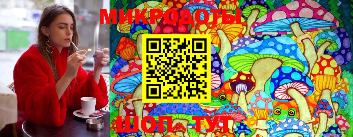 Галлюциногенные грибы Cubensis Великий Новгород
